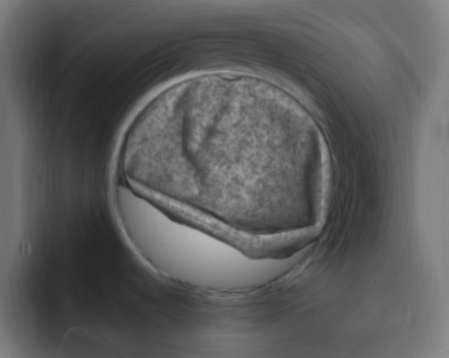 X0000092031536200710041052