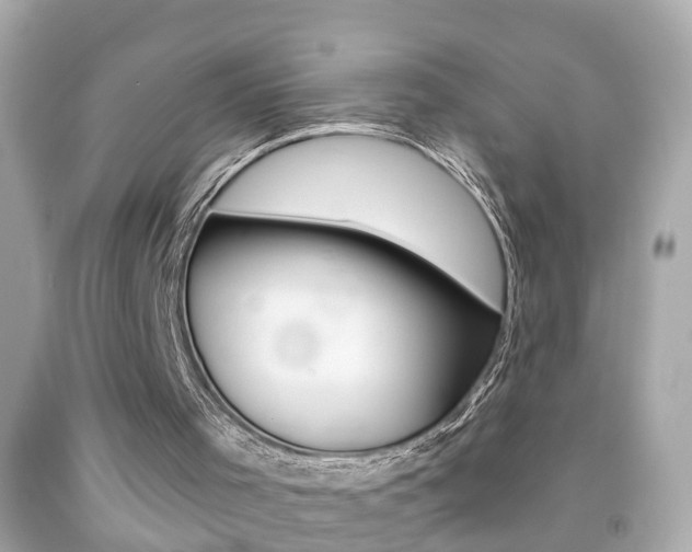 X0000092040001200709121014