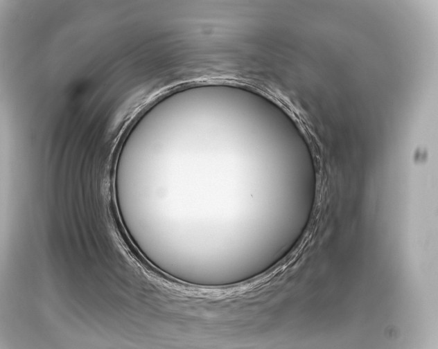 X0000092040002200709121014