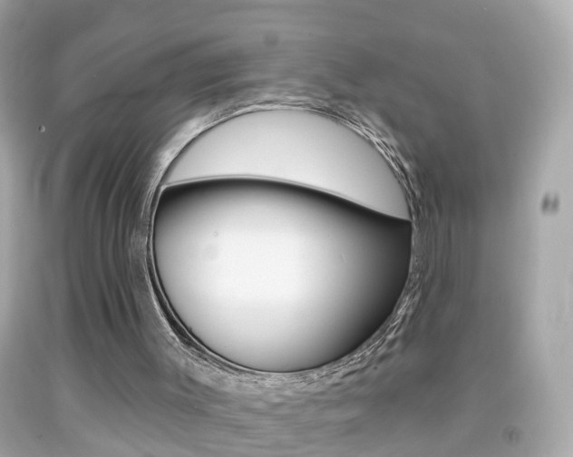 X0000092040003200709121014
