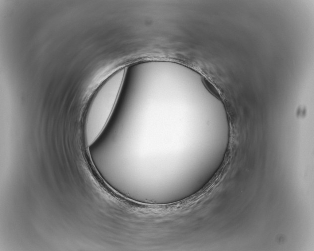 X0000092040005200709121014