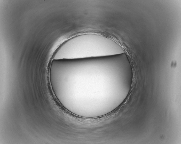 X0000092040006200709121014