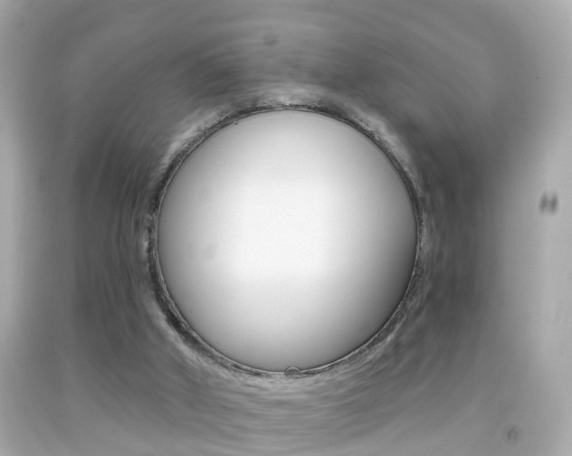 X0000092040010200709121014