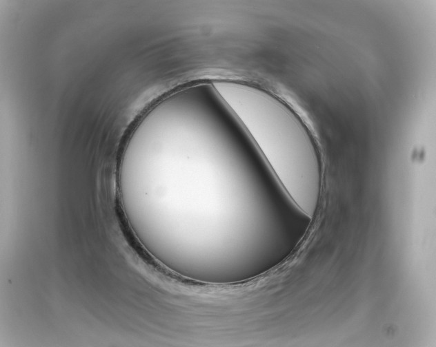 X0000092040011200709121014