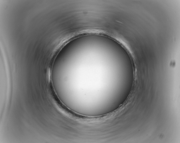 X0000092040013200709121014