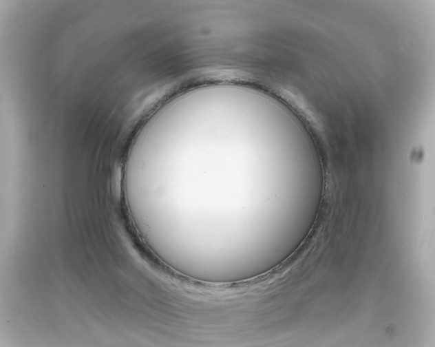 X0000092040014200709121014