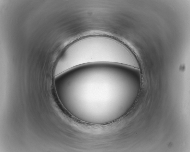 X0000092040015200709121014