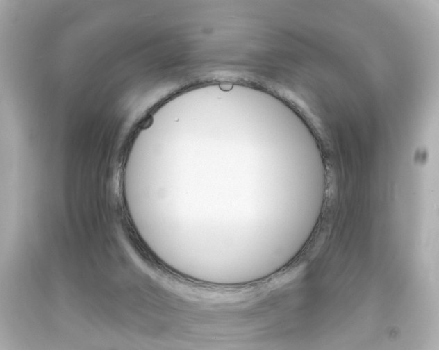 X0000092040016200709121014