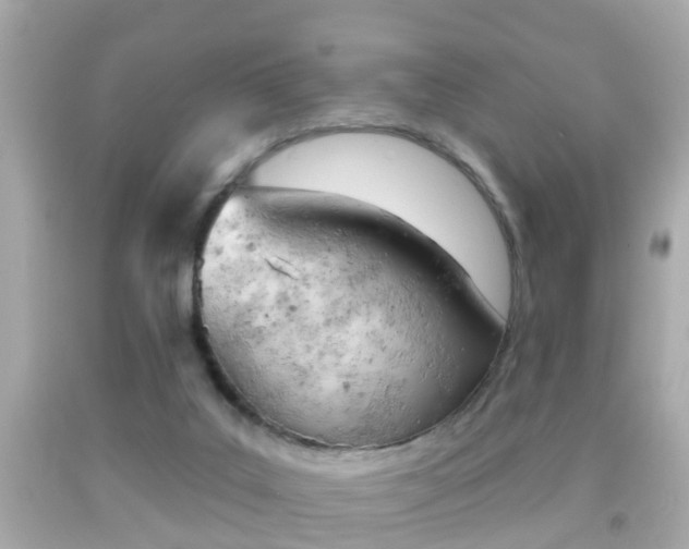 X0000092040019200709121014