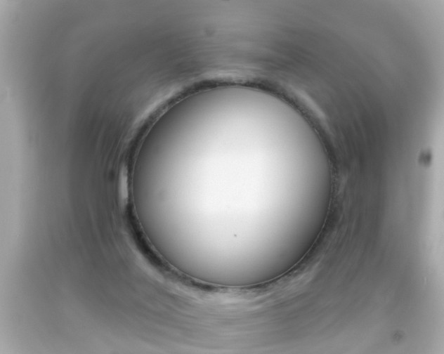 X0000092040020200709121014