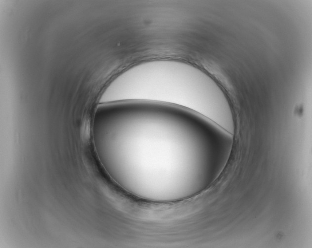 X0000092040021200709121014