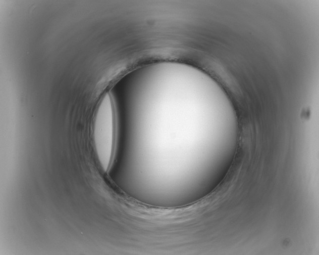 X0000092040023200709121014