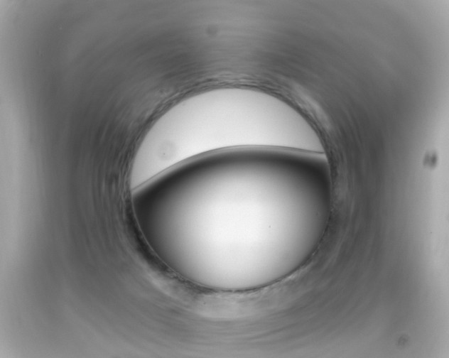 X0000092040025200709121014