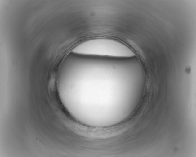 X0000092040026200709121014