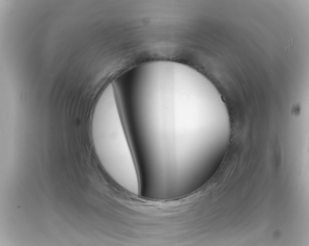 X0000092040027200709121014