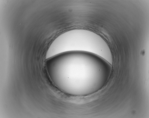 X0000092040029200709121014