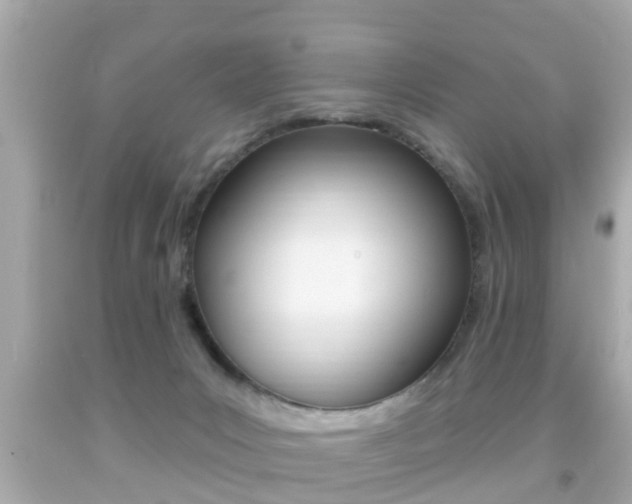 X0000092040031200709121014