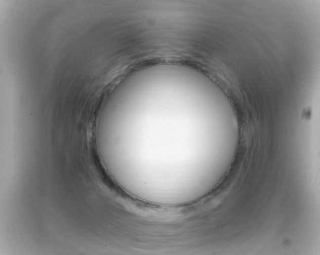 X0000092040032200709121014