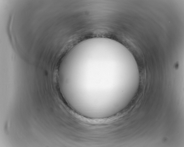 X0000092040038200709121014