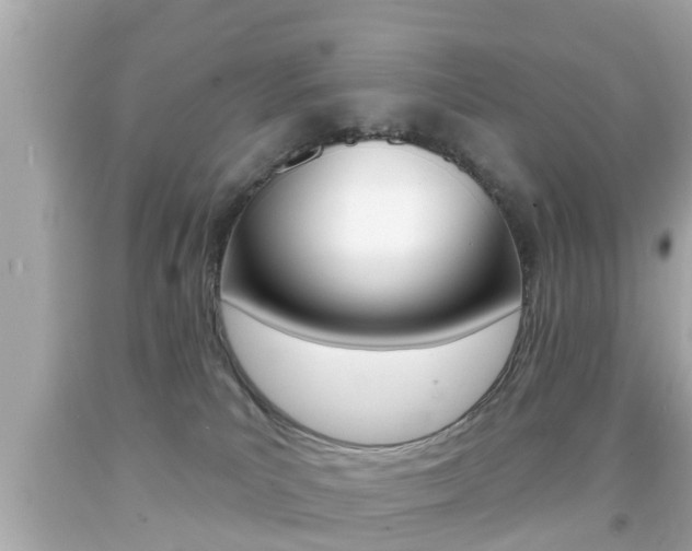 X0000092040039200709121014