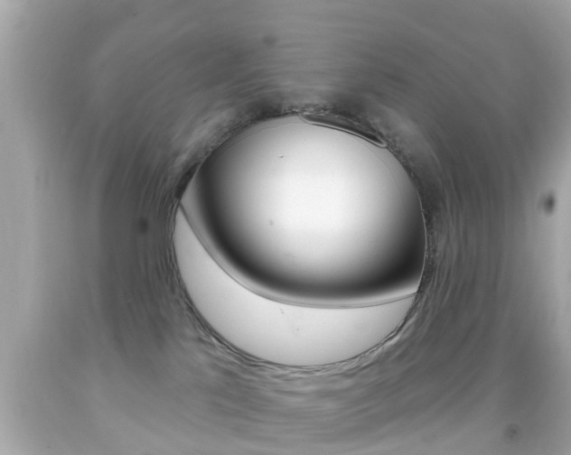 X0000092040041200709121014