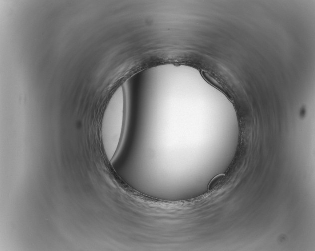 X0000092040044200709121014