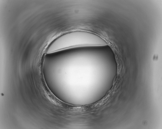 X0000092040050200709121013