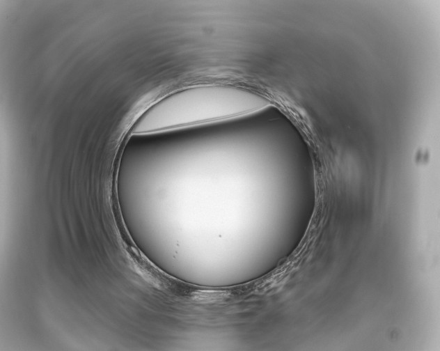 X0000092040051200709121013