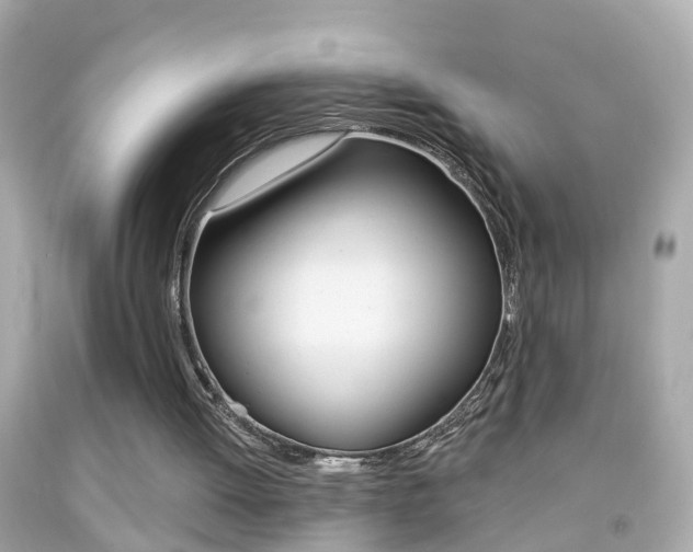 X0000092040052200709121013
