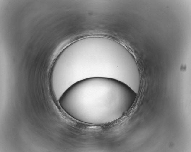 X0000092040053200709121013