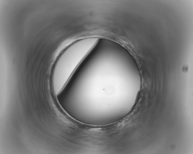 X0000092040054200709121013