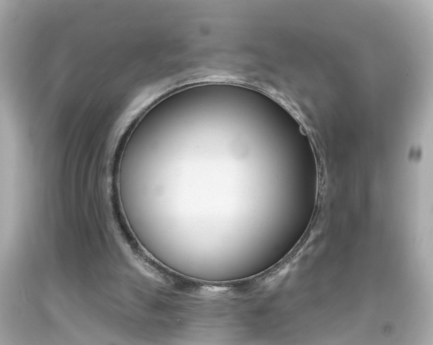 X0000092040055200709121013