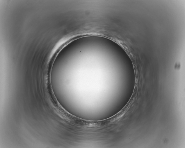 X0000092040056200709121013