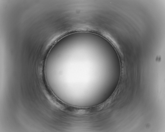 X0000092040058200709121013