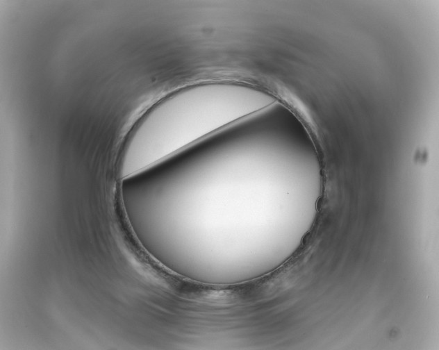 X0000092040059200709121013