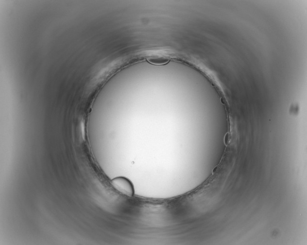 X0000092040061200709121013