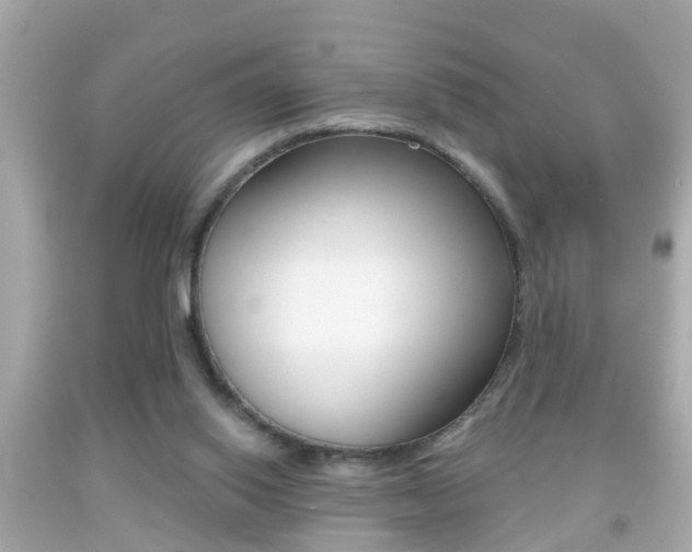 X0000092040062200709121013