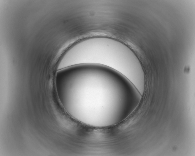 X0000092040064200709121013