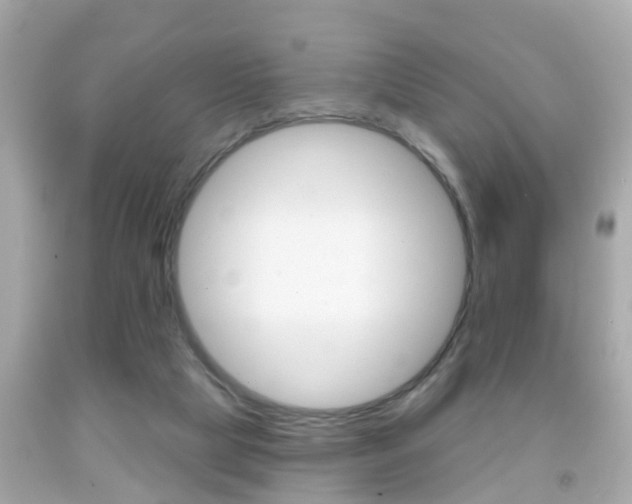 X0000092040065200709121013