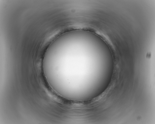 X0000092040066200709121013