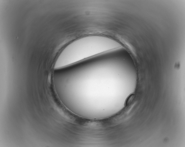 X0000092040067200709121013