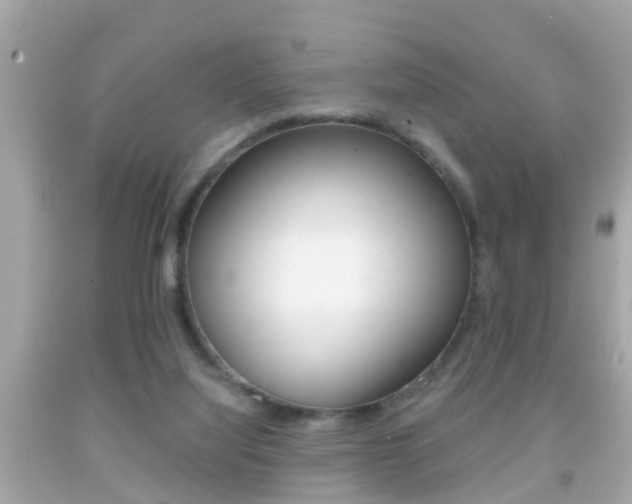 X0000092040068200709121013