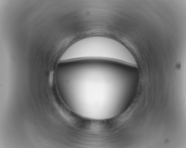 X0000092040070200709121013