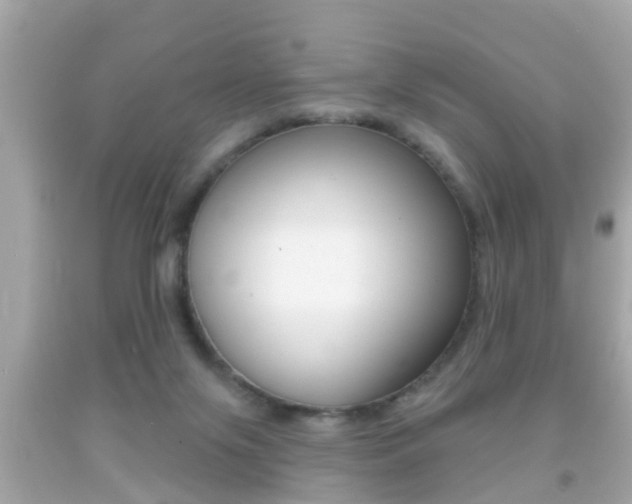 X0000092040071200709121013