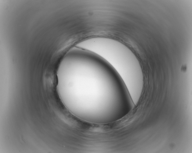 X0000092040072200709121013