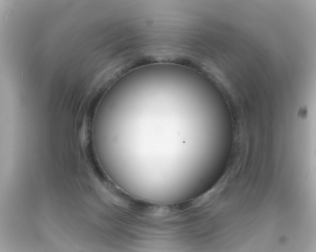 X0000092040074200709121013