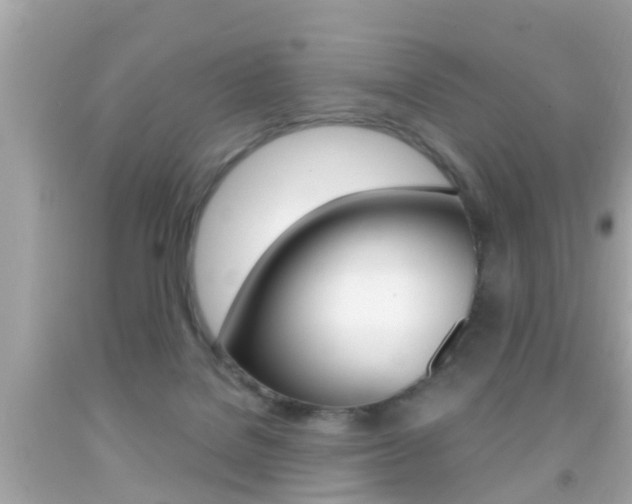 X0000092040076200709121013