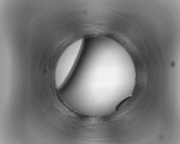 X0000092040077200709121013