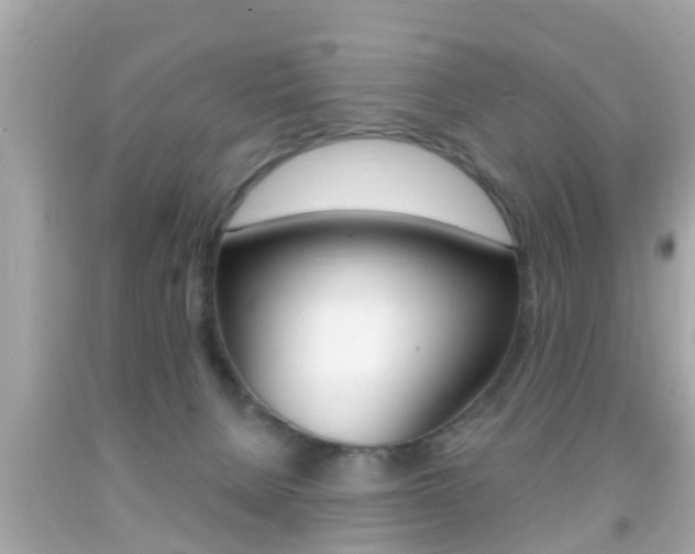 X0000092040080200709121013