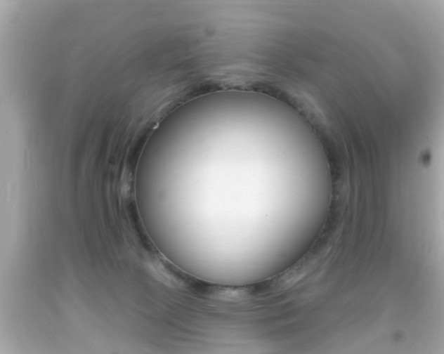X0000092040081200709121013